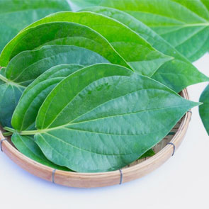 Betel Leaves